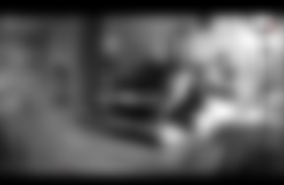 Matt & Siren Play While They Are Away!!